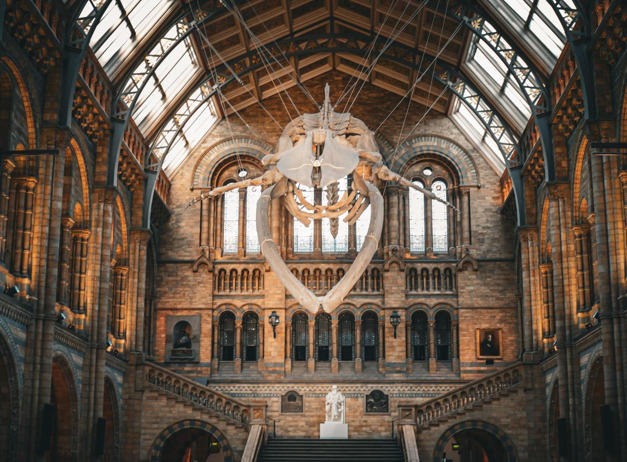 Anwar House Londres Exterior foto